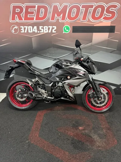 KAWASAKI Z 300