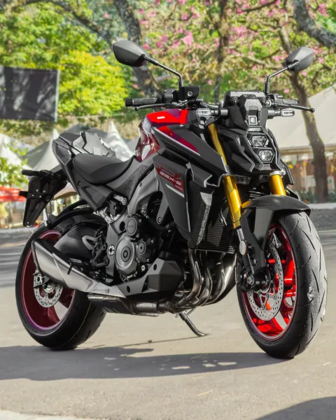SUZUKI GSX-S 1000